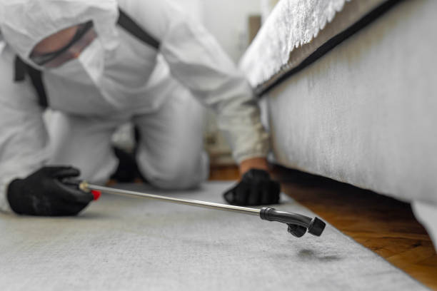 Professional Cockroach Control technician working in Timberlane, IL